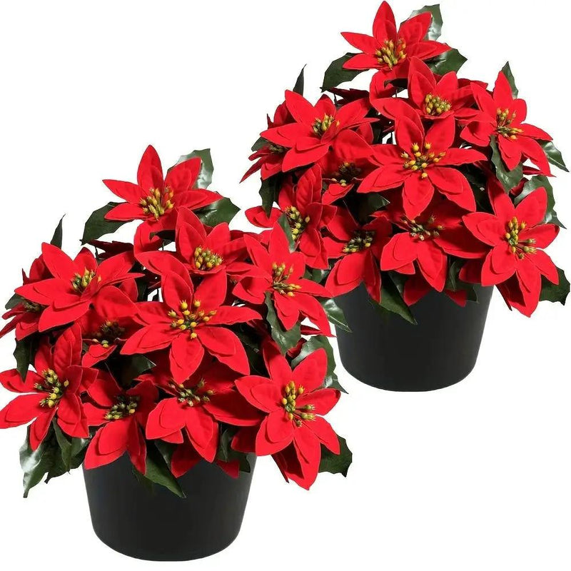 Plastic Artificial Flower Wreath - 24 Norfolk Faux Flowers for Christmas Decor by House Of Avana