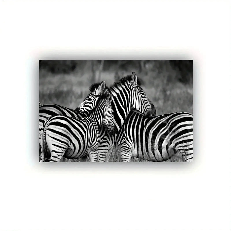 Poster - Vintage Zebra Canvas Print by House Of Avana