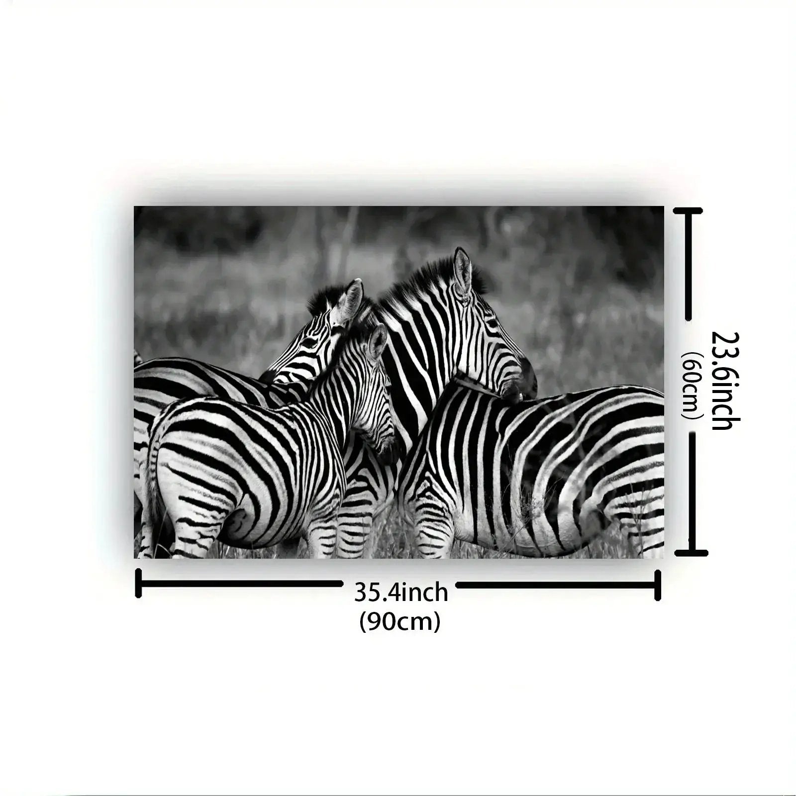 Poster - Vintage Zebra Canvas Print by House Of Avana