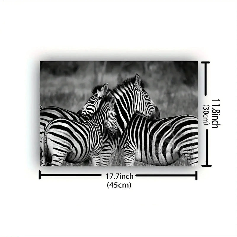 Poster - Vintage Zebra Canvas Print by House Of Avana