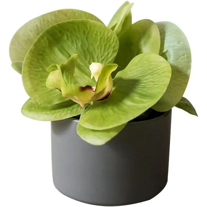 Artificial Faux Flower Mini Real Touch Potted Orchid Green by RusticReach
