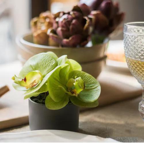 Artificial Faux Flower Mini Real Touch Potted Orchid Green by RusticReach