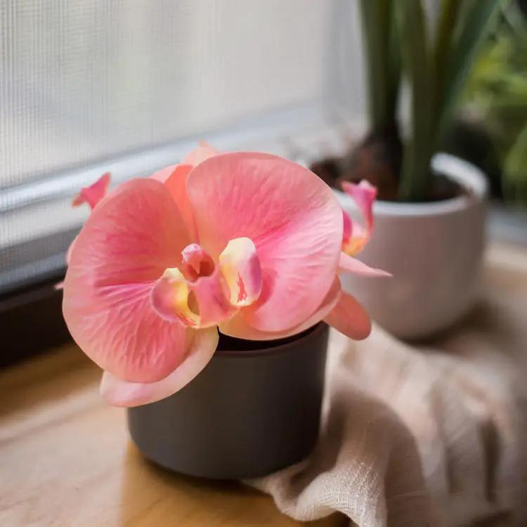 Artificial Flower Mini Real Touch Orchid in Peach Pink by RusticReach
