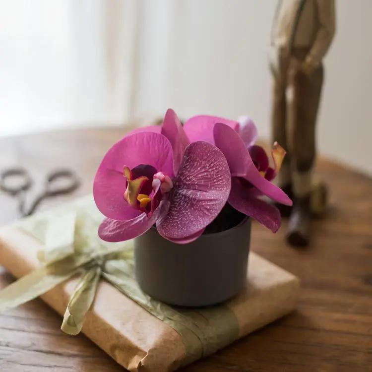 Potted Flower Mini Real Touch Potted Orchid in Purple by RusticReach