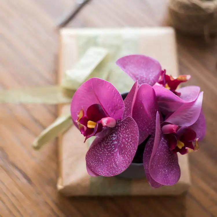 Potted Flower Mini Real Touch Potted Orchid in Purple by RusticReach