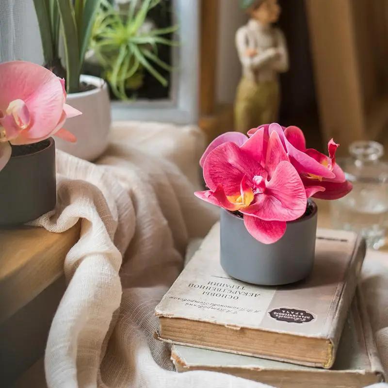 Artificial Potted Mini Real Touch Orchid Velvet Red by RusticReach