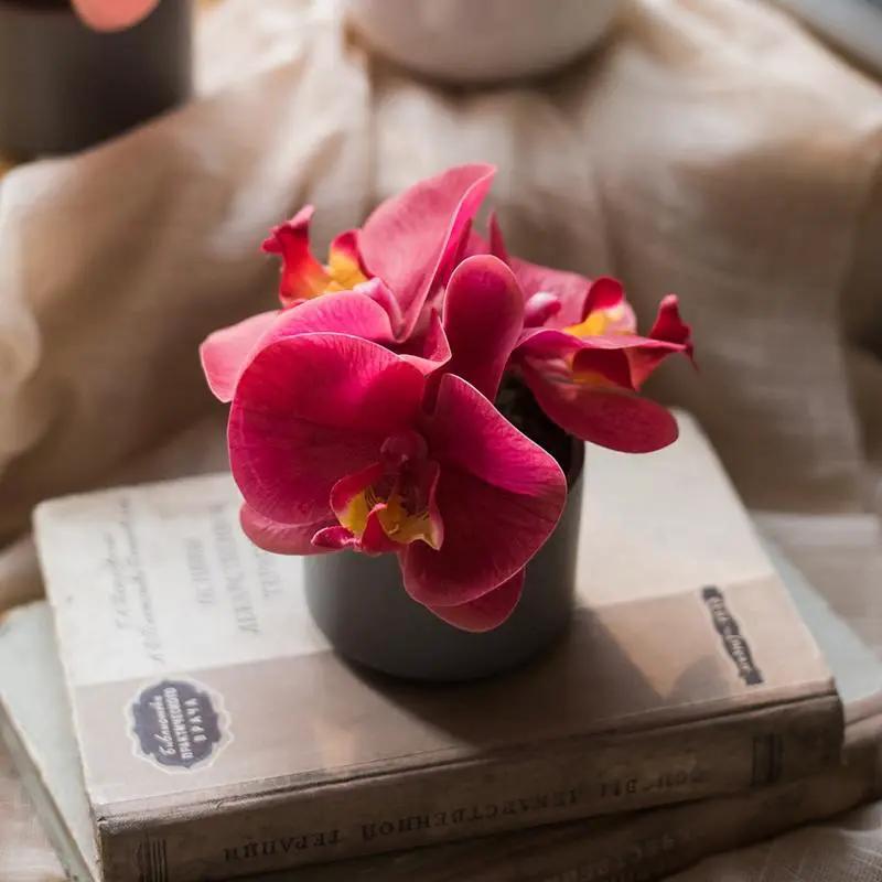 Artificial Potted Mini Real Touch Orchid Velvet Red by RusticReach