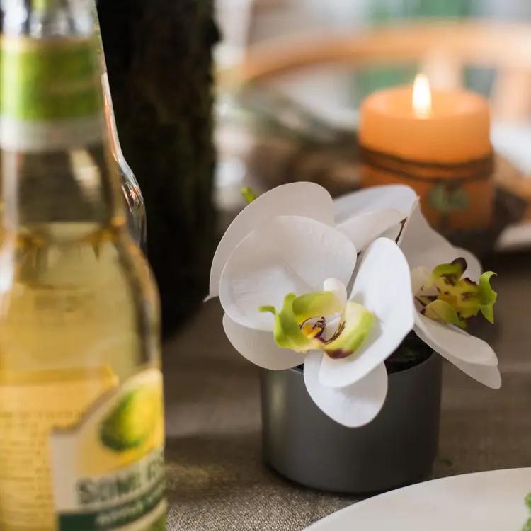 Artificial Flower Mini Real Touch Potted Orchid White by RusticReach