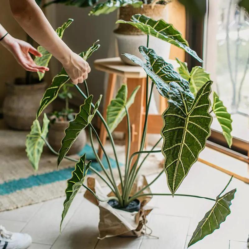 Artificial Faux Alocasia Plant In Pot 31" Tall by RusticReach