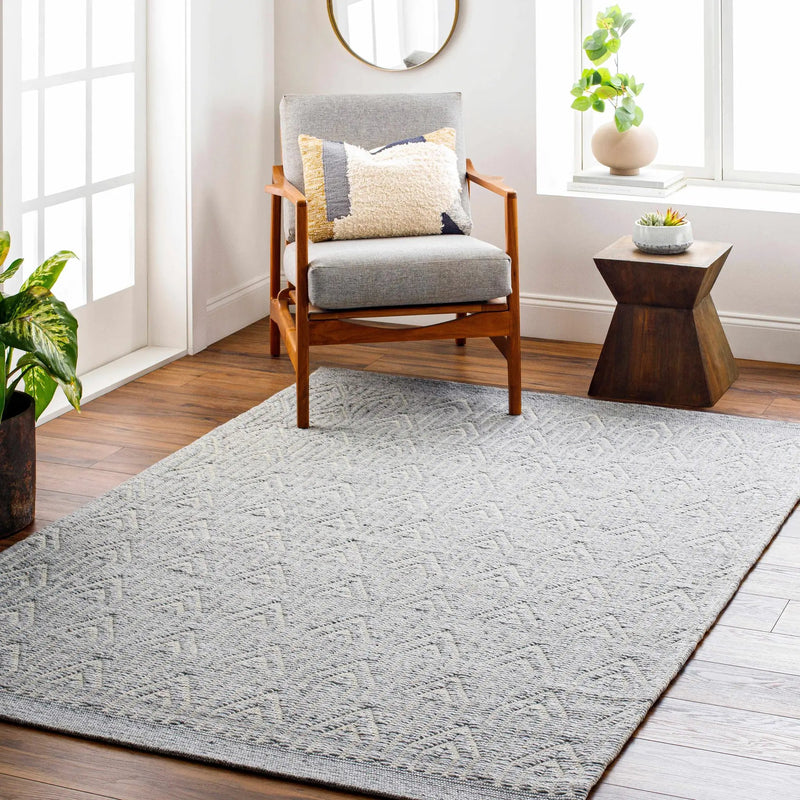 Peri Area Rug - Clearance by Boutique Rugs
