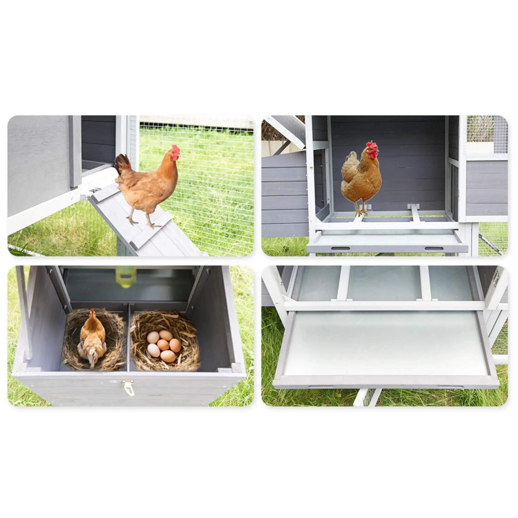 Large Heavy-Duty 113-Inch Outdoor Anti-UV Waterproof Wooden Chicken Coop Hen House (SAK32684) by SAKSBY WHOLESALE