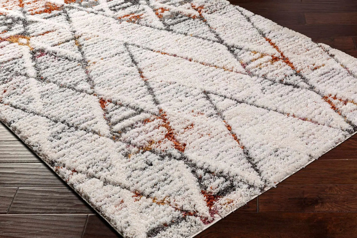 Atish Area Rug - Clearance, photo 7 of 8