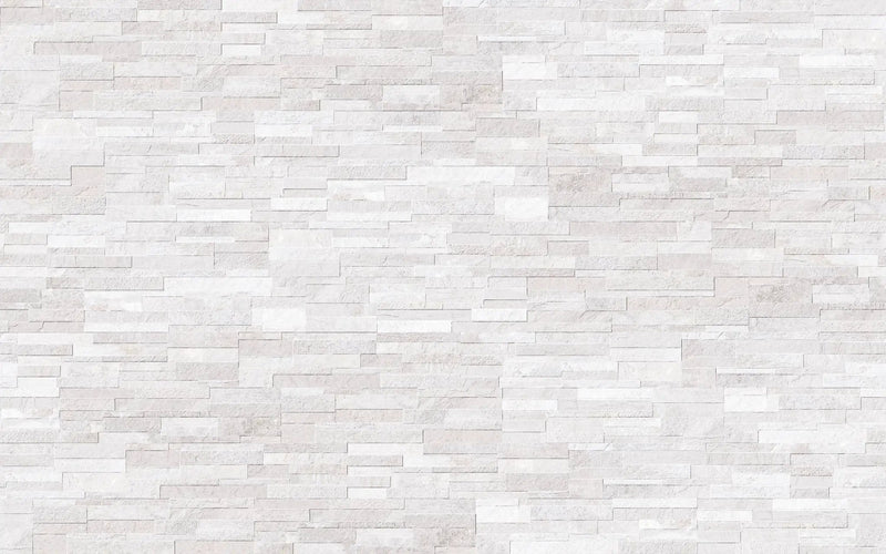 Veneer World Pro Ledgestone Alpine Alaska Quartz Look Porcelain Accent Tiles 6x24 by landmarkceramics