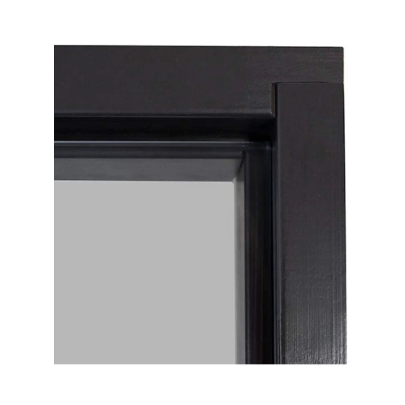Prosaunas 24X81-Inch Black Alder Tinted Glass Sauna Door (SAK36827) by SAKSBY WHOLESALE
