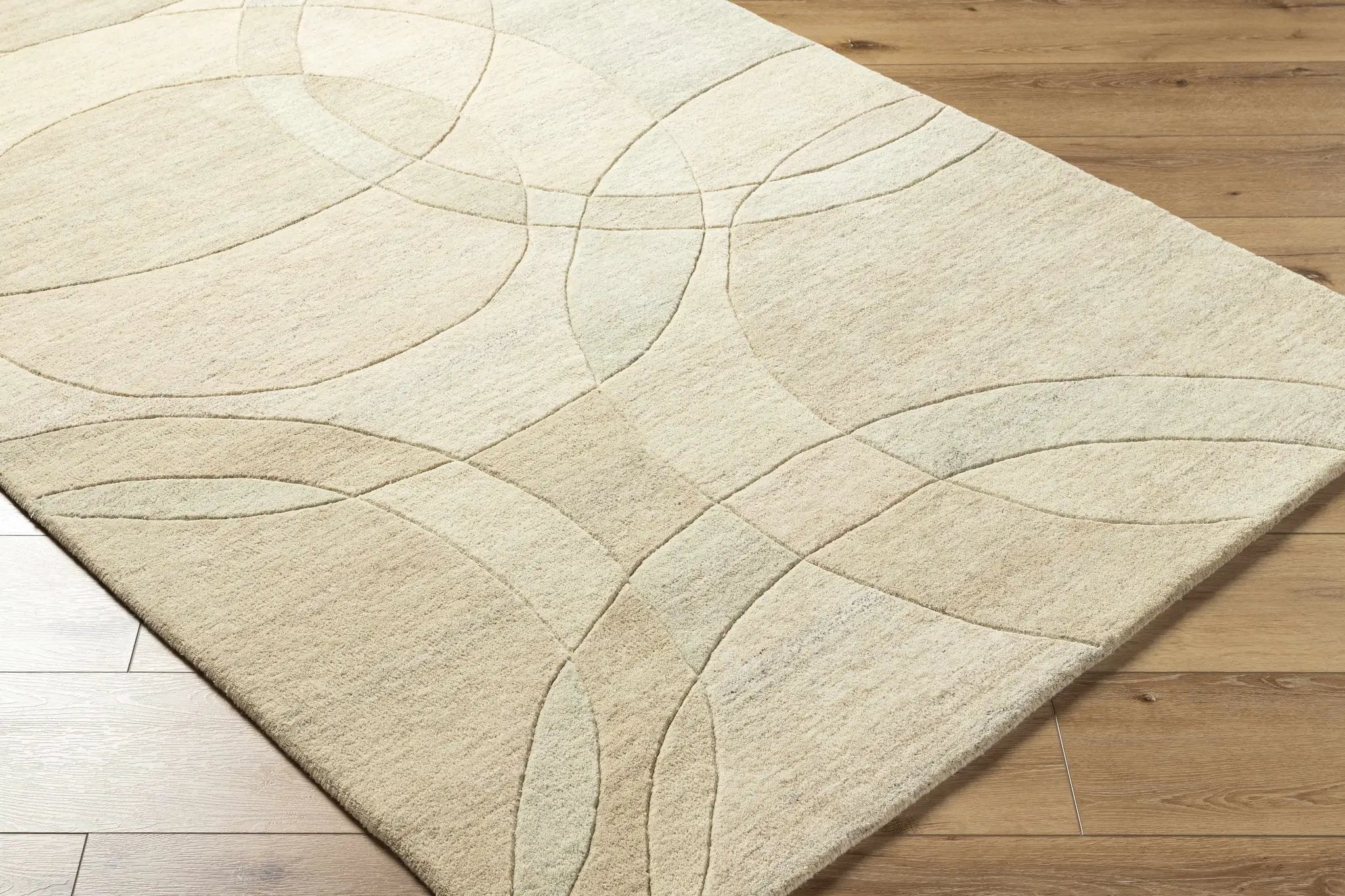 Rollo Area Rug - Clearance by Boutique Rugs