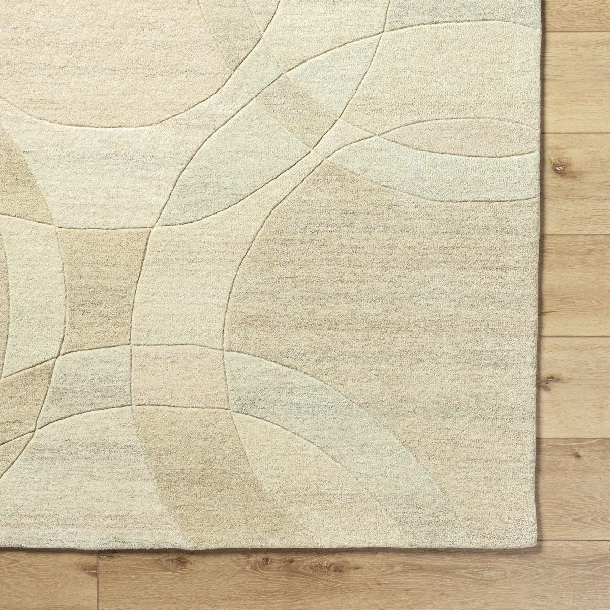 Rollo Area Rug - Clearance, photo 7 of 9