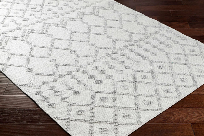 Rick Area Rug - Clearance by Boutique Rugs