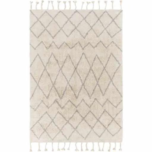 Redlands Area Rug - Clearance by Boutique Rugs