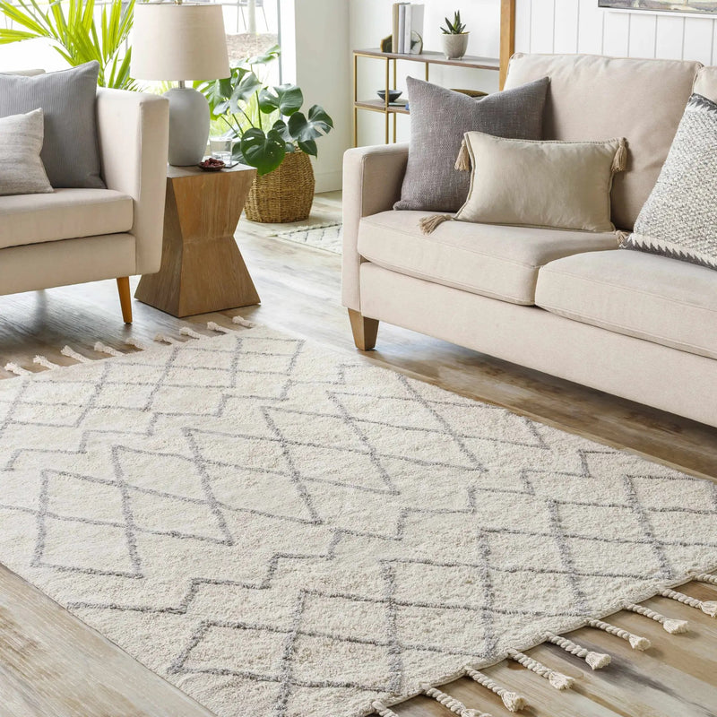 Redlands Area Rug - Clearance by Boutique Rugs