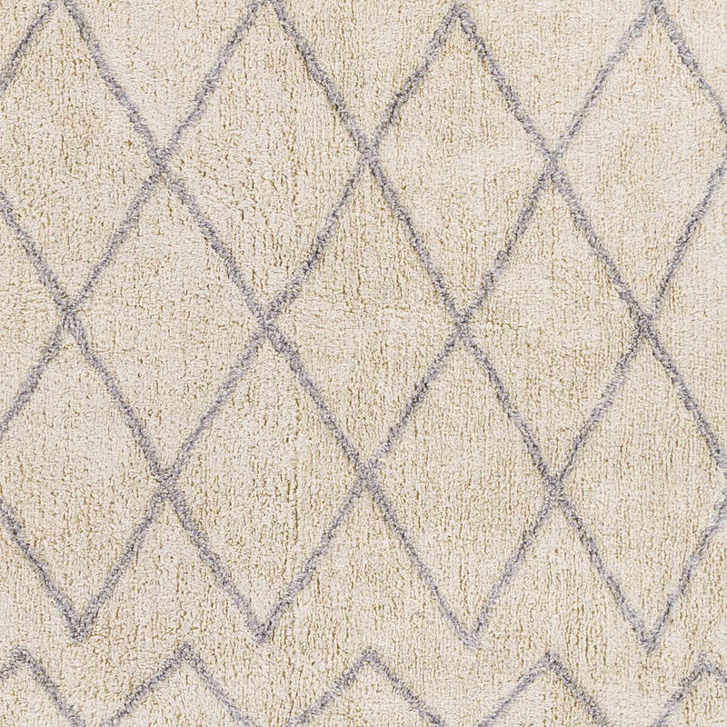 Redlands Area Rug - Clearance by Boutique Rugs