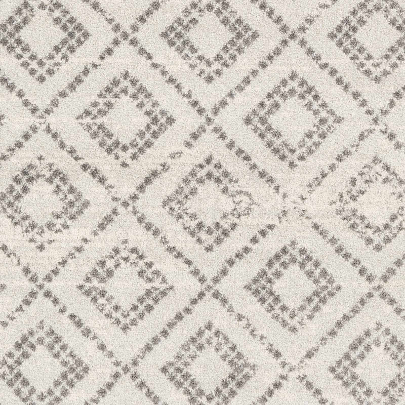 Romeoville Area Rug - Clearance by Boutique Rugs
