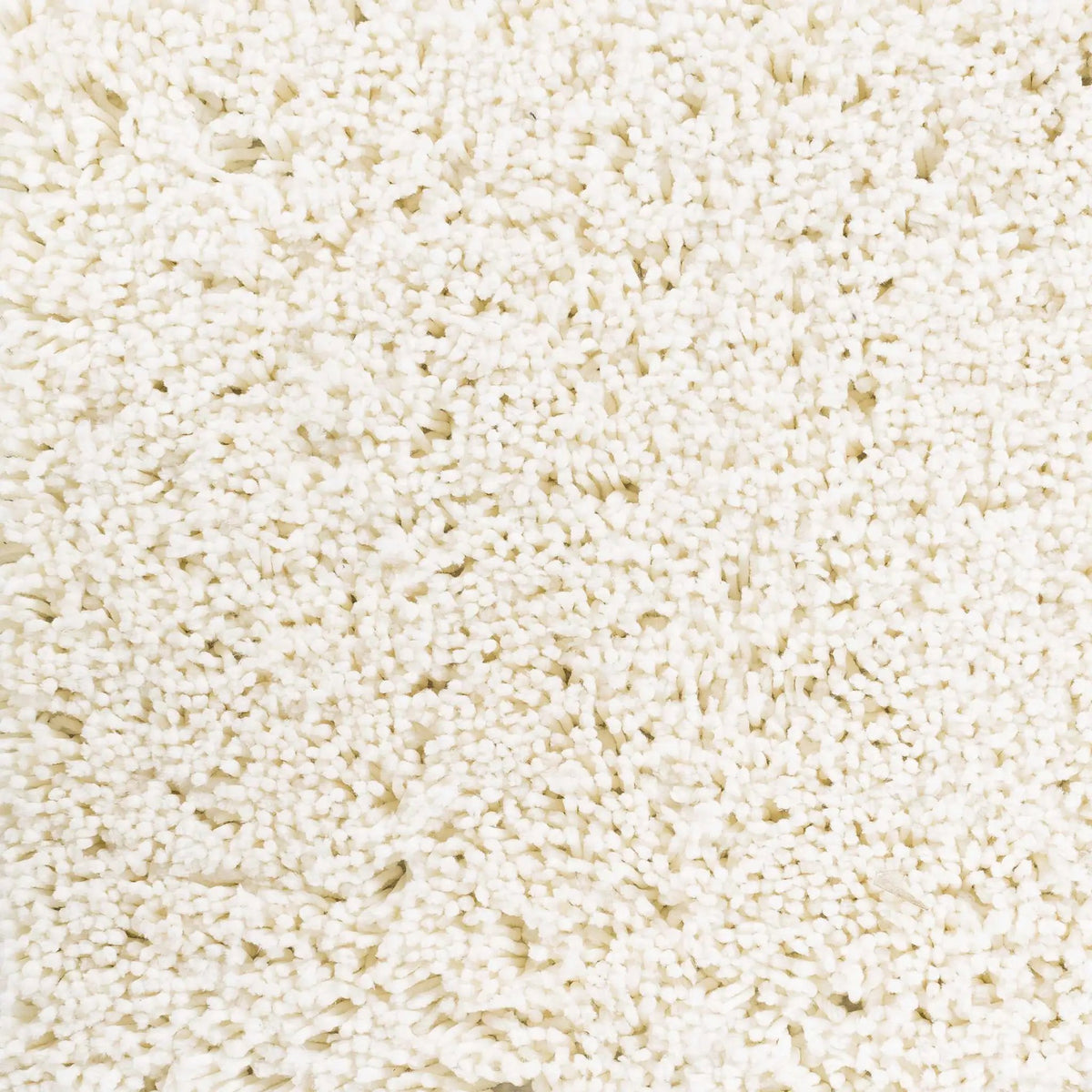 Rowdy Carpet - Clearance, photo 5 of 5