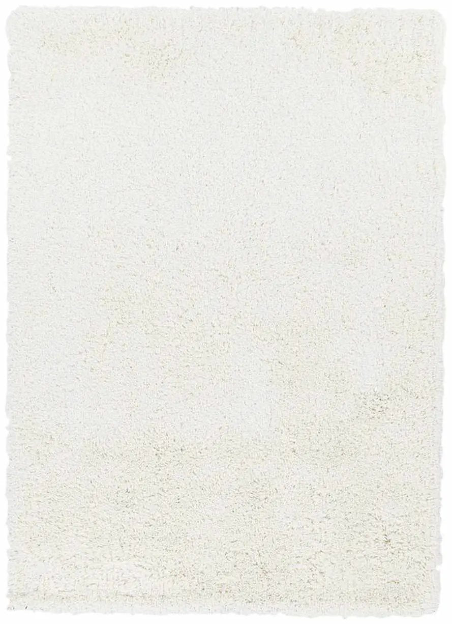 Rowdy Carpet - Clearance by Boutique Rugs