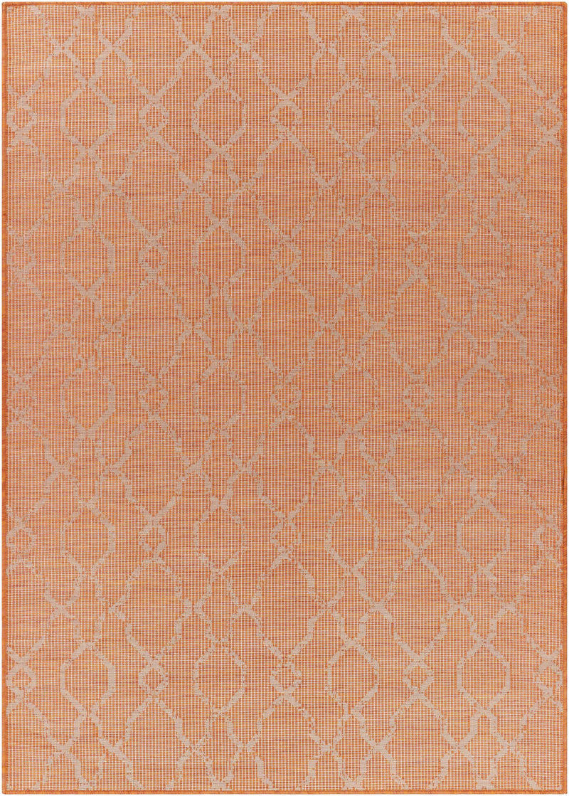 Rowde Flatweave Outdoor Area Carpet - Clearance by Boutique Rugs