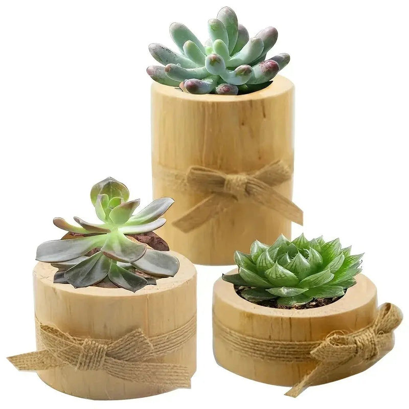 Rustic Wooden Candle Holders and Planters for Home Decor by House Of Avana