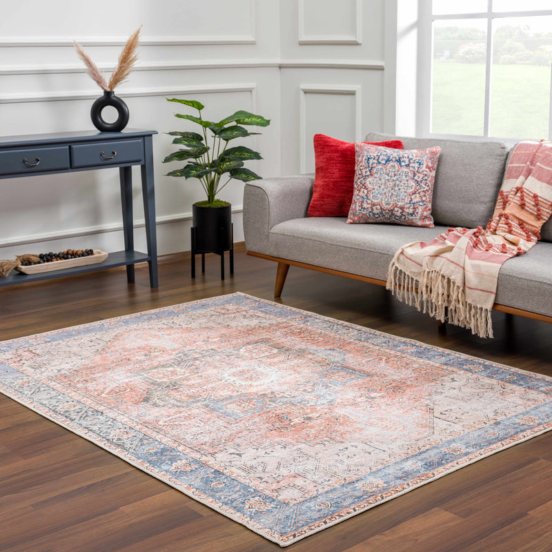 Rosman Distressed Washable Area Rug by Boutique Rugs
