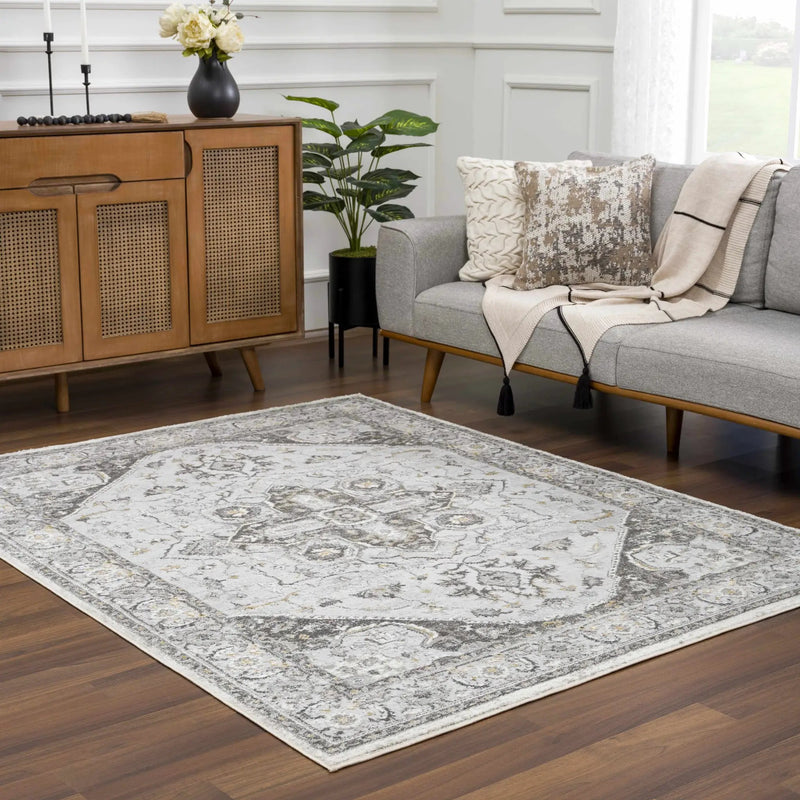 Liverpool Light Gray Area Rug - Clearance by Boutique Rugs