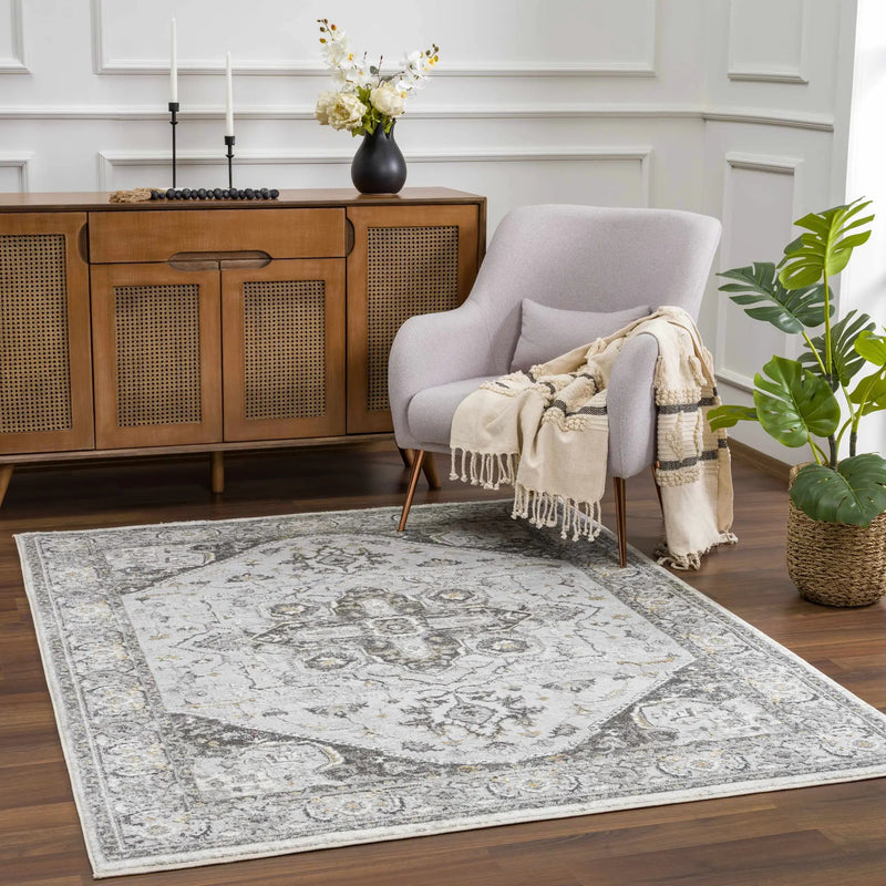 Liverpool Light Gray Area Rug - Clearance by Boutique Rugs