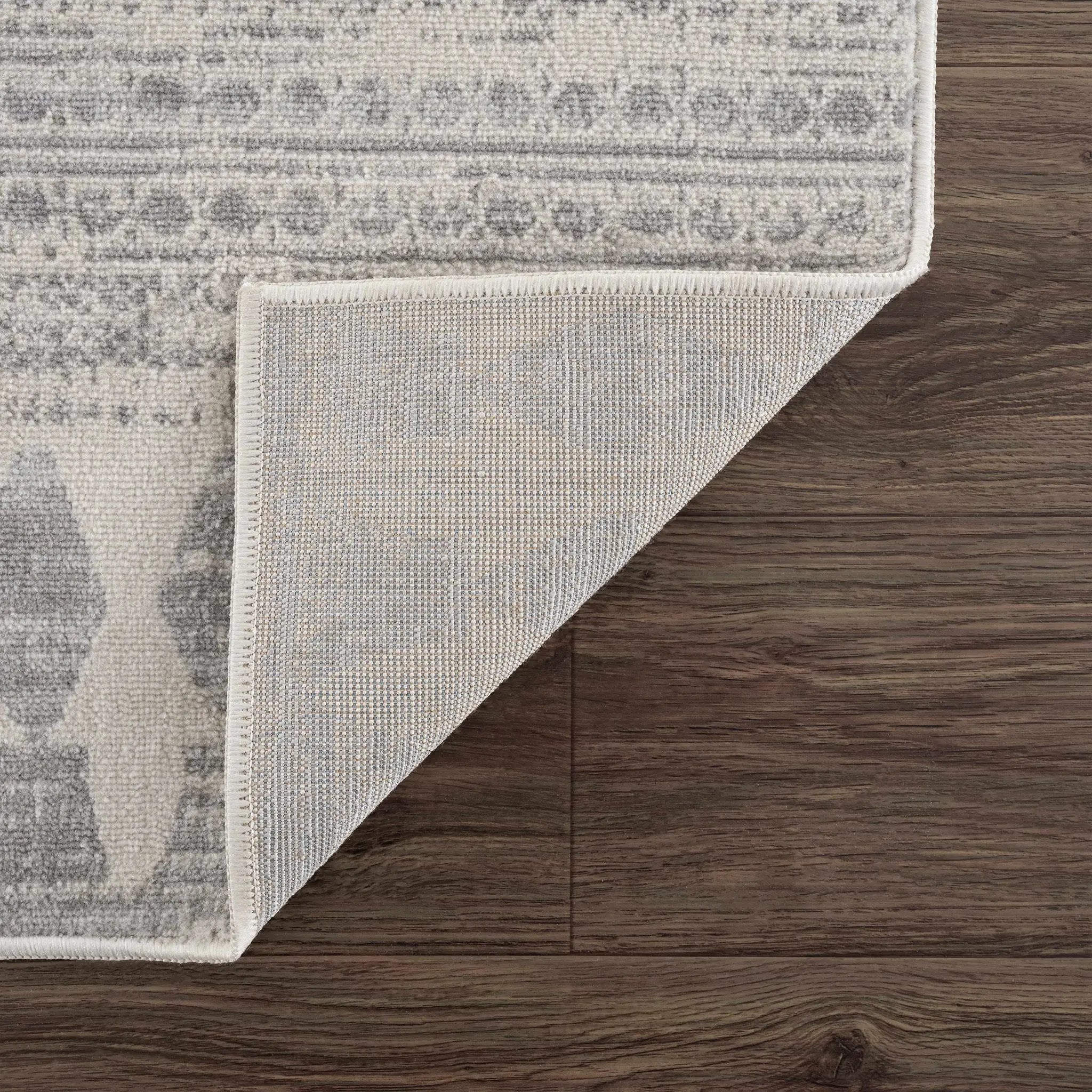 Chinnor Neutral Area Rug by Hauteloom