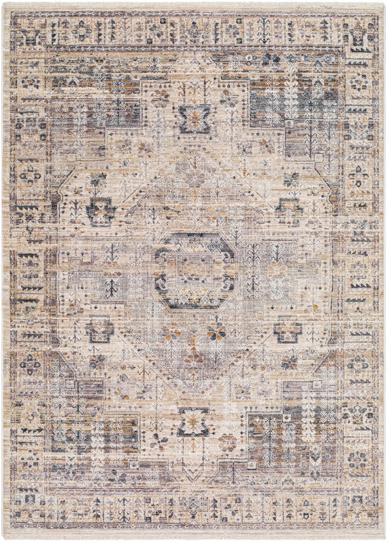 Iiona Area Rug - Clearance by Boutique Rugs