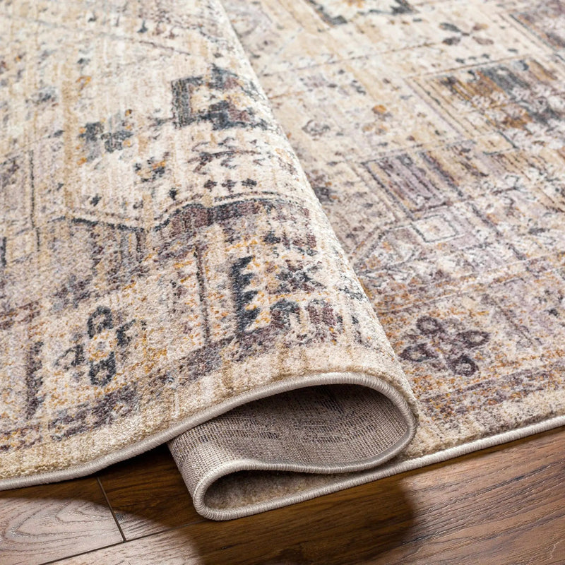 Iiona Area Rug - Clearance by Boutique Rugs
