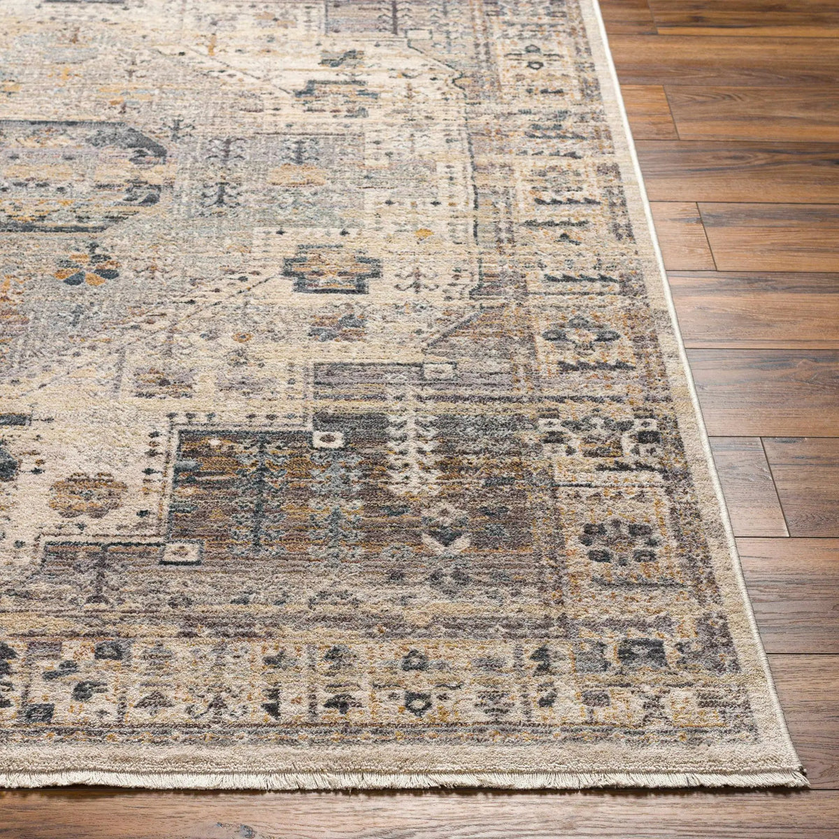 Iiona Area Rug - Clearance, photo 3 of 8