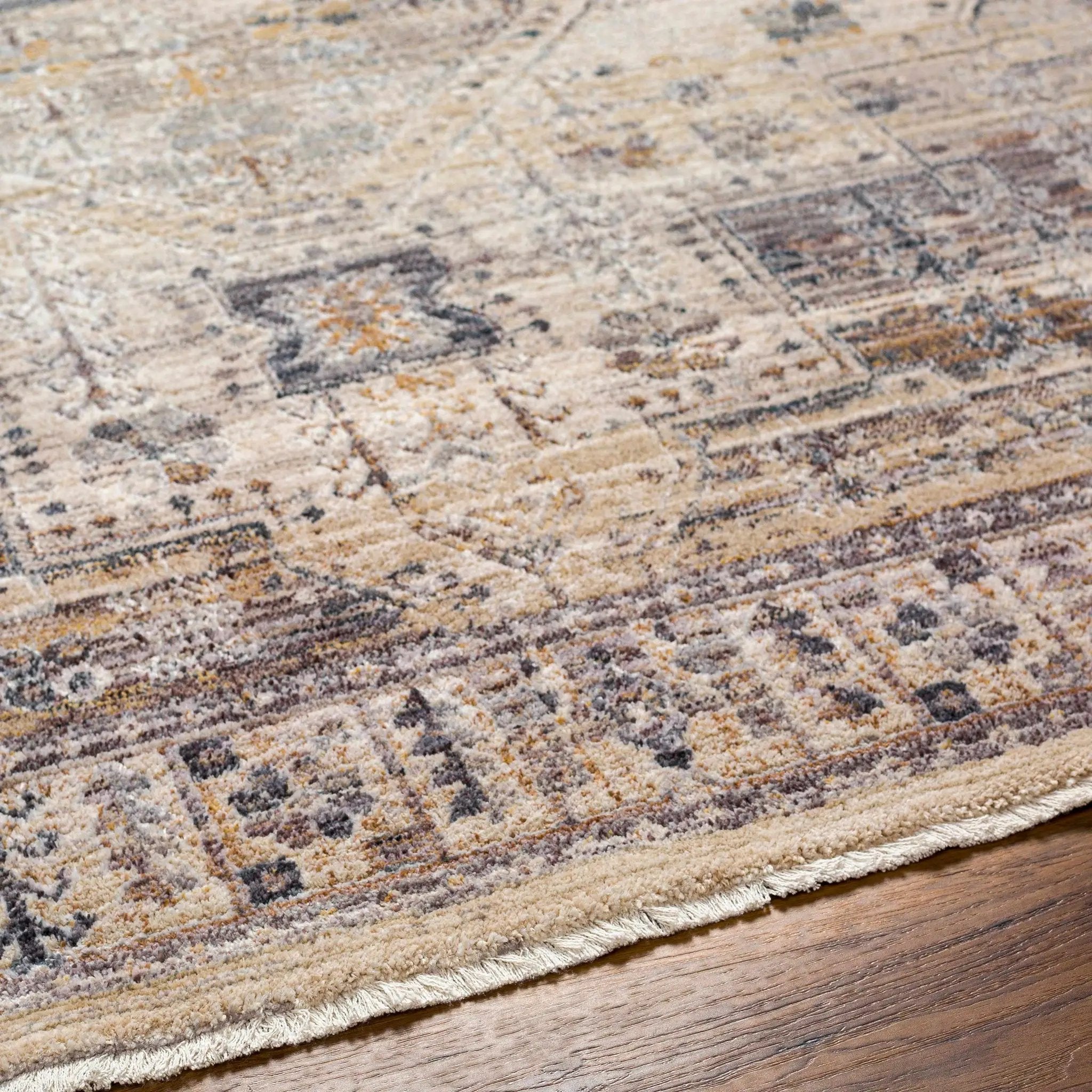 Iiona Area Rug - Clearance by Boutique Rugs