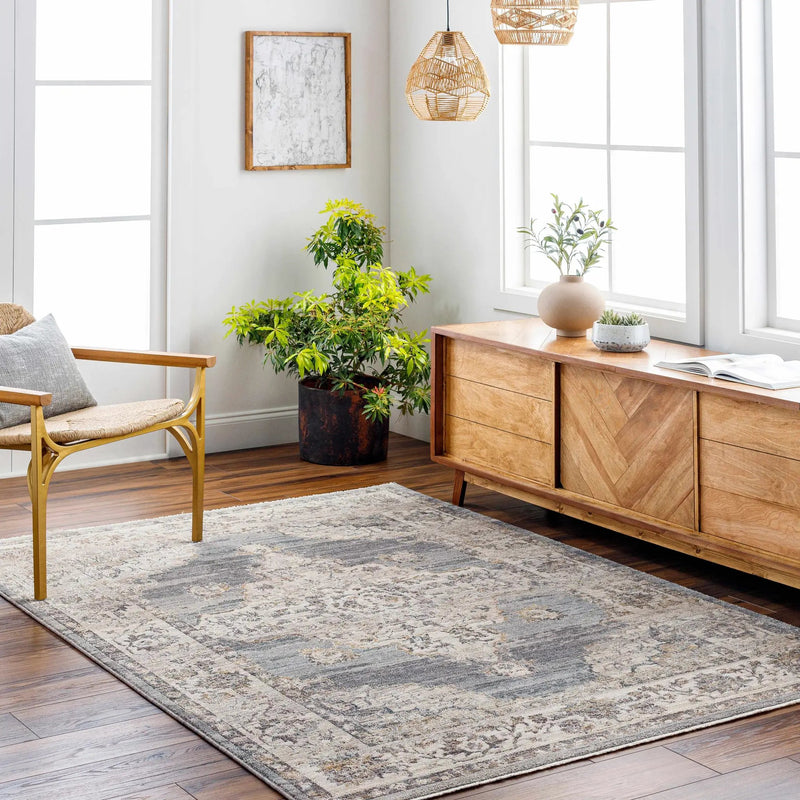 Crea Gray Zola Area Rug - Clearance by Boutique Rugs