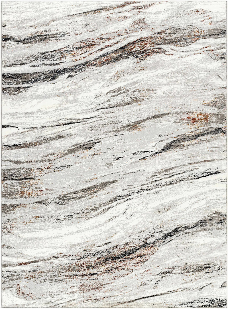 Glain Gray & Brown Marble Area Rug - Clearance by Boutique Rugs