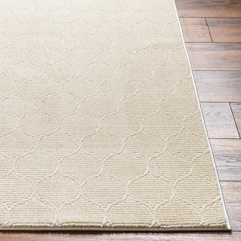 Gwen Washable Area Rug - Clearance by Boutique Rugs