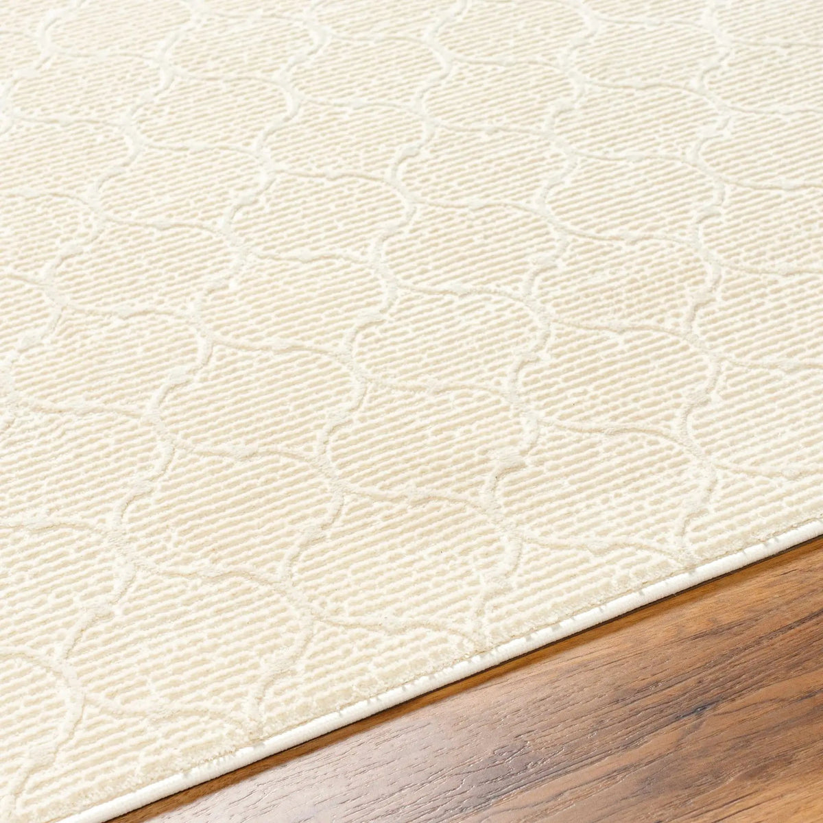 Gwen Washable Area Rug - Clearance, photo 7 of 7