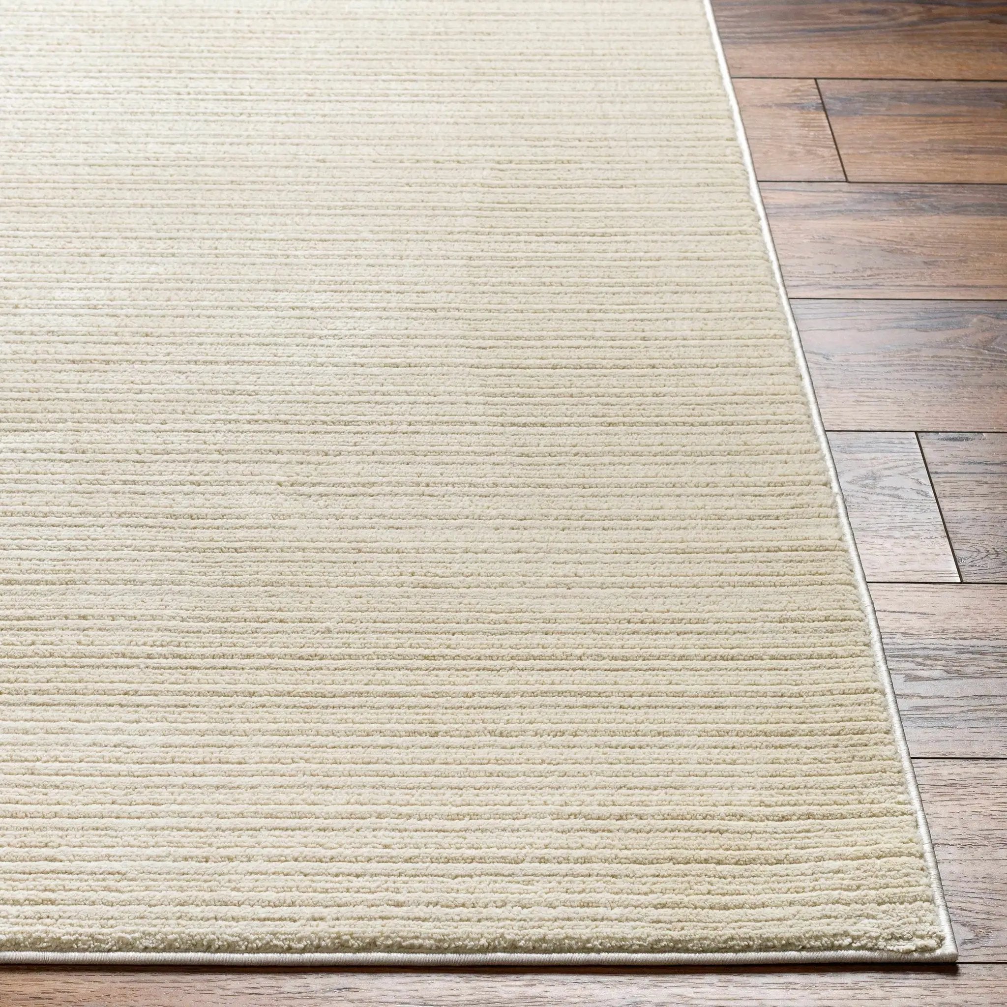 Kini Plush Textured Washable Rug by Boutique Rugs