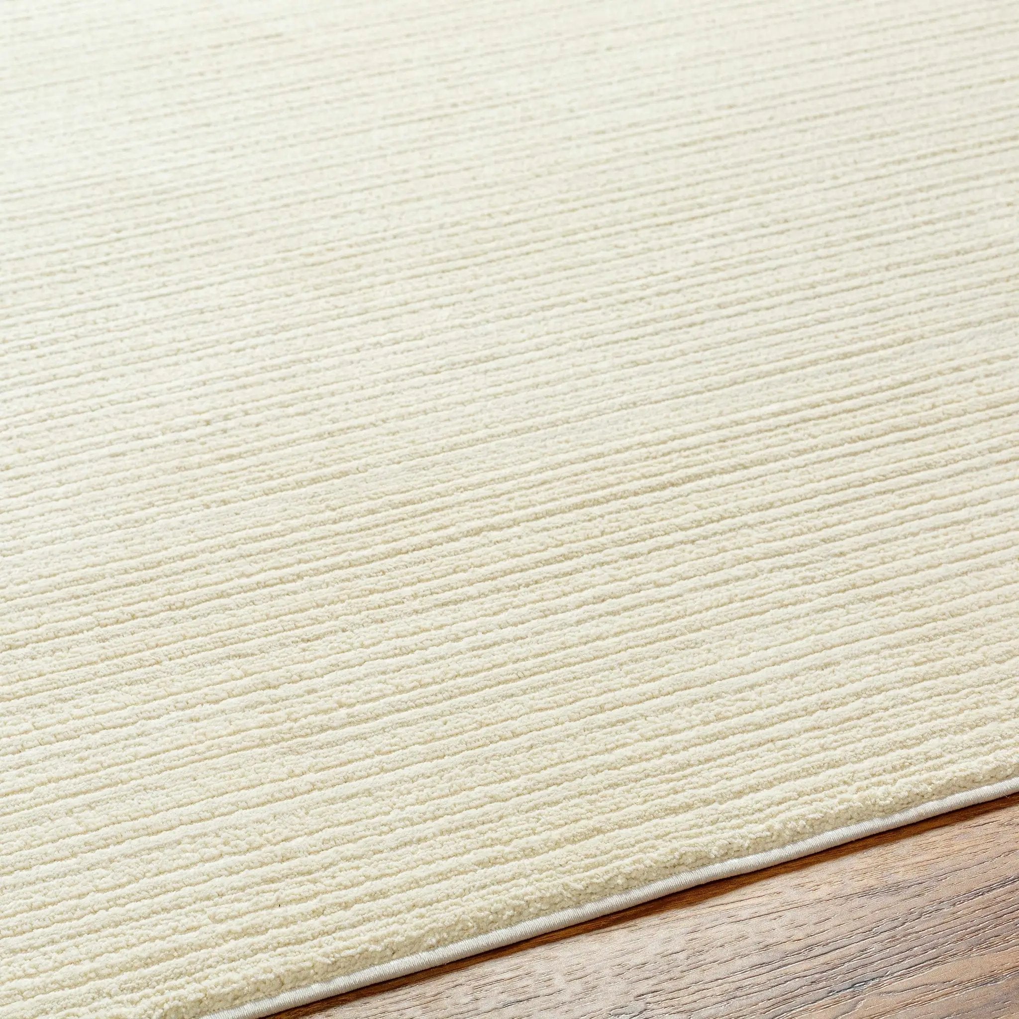 Kini Plush Textured Washable Rug by Boutique Rugs