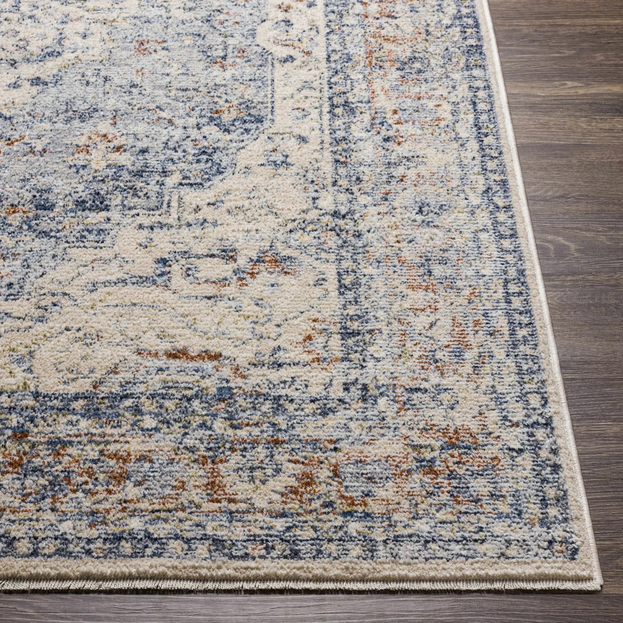 Salmo Area Rug - Clearance by Boutique Rugs