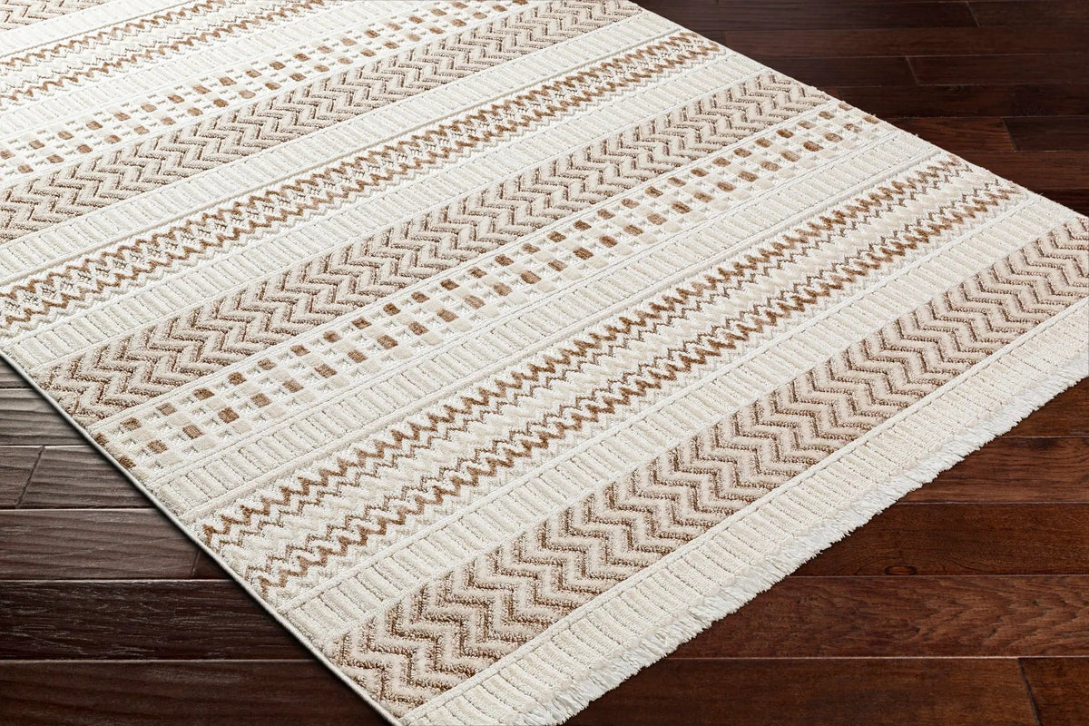 Eiko Beige Textured Saxony Rug with Fringes - Clearance, photo 4 of 8