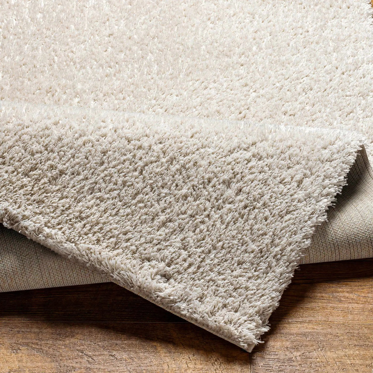Ajeya Area Rug, photo 4 of 7