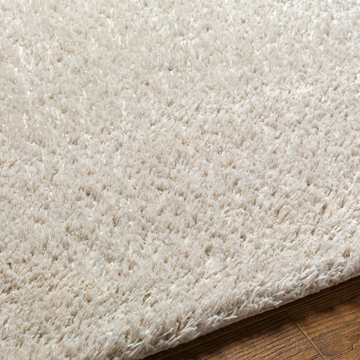 Ajeya Area Rug, photo 3 of 7
