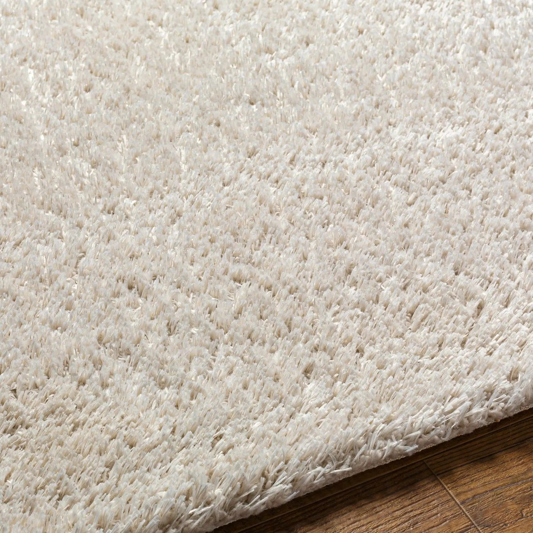 Ajeya Area Rug by Boutique Rugs