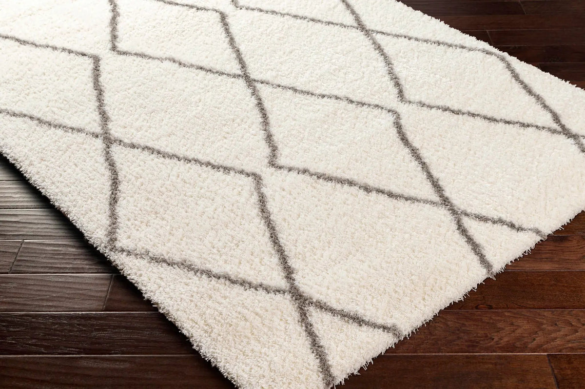 Maximiliano Area Rug, photo 6 of 7