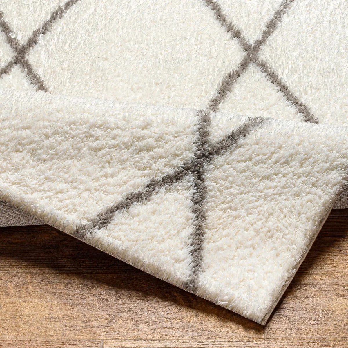 Maximiliano Area Rug, photo 5 of 7